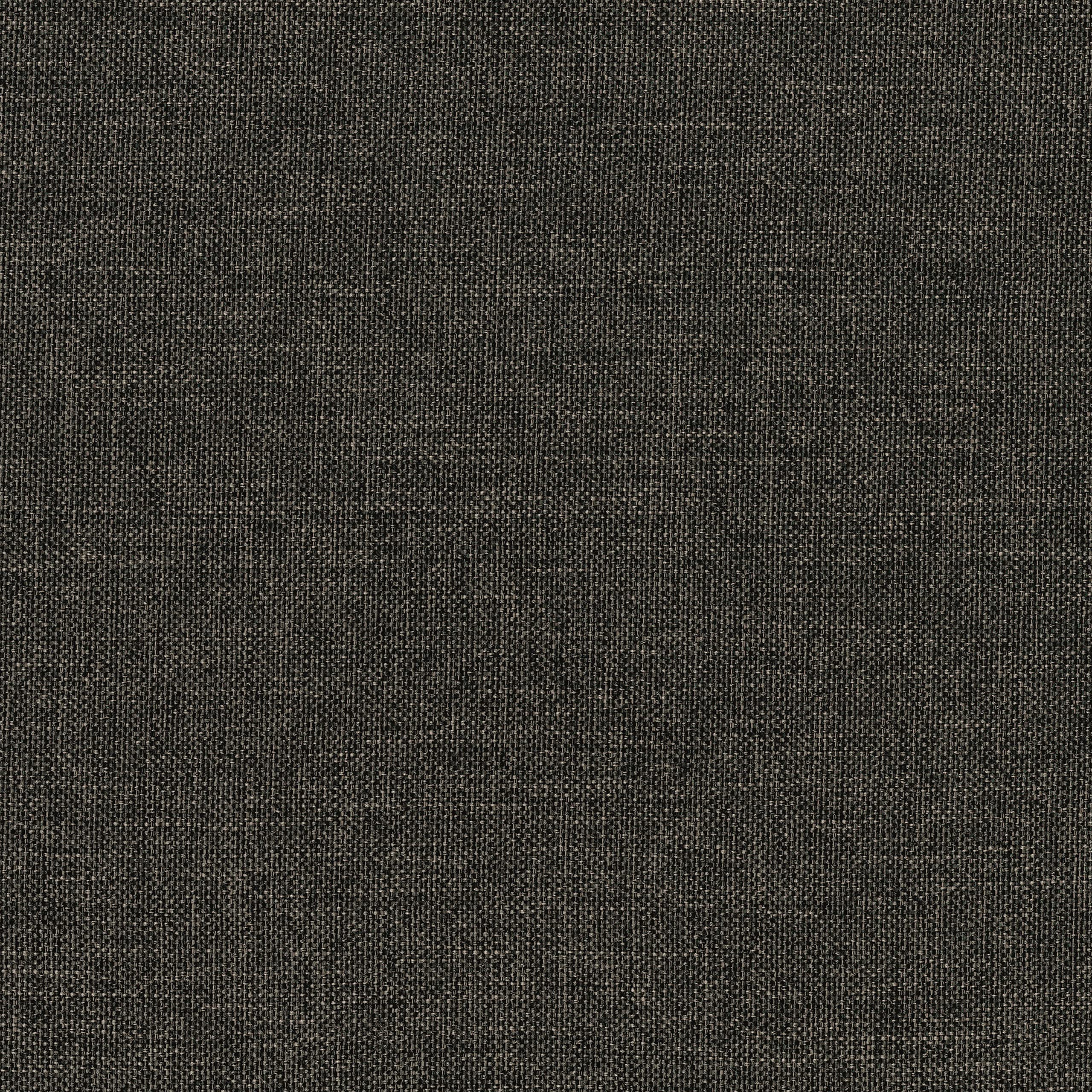 Lexicon Palma Daybed with Trundle, Twin/Twin, Dark Gray - Image 5